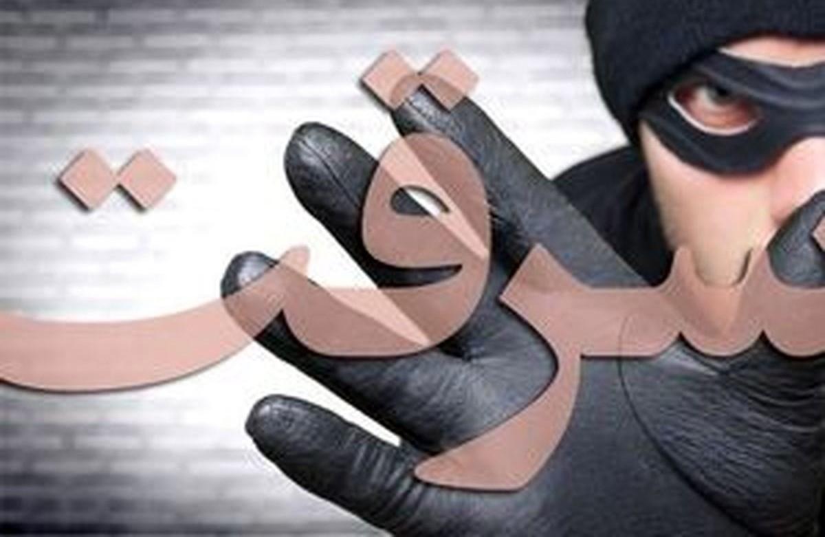 مثال‌هایی برای درک بهتر فرق سرقت با دزدی در قانون